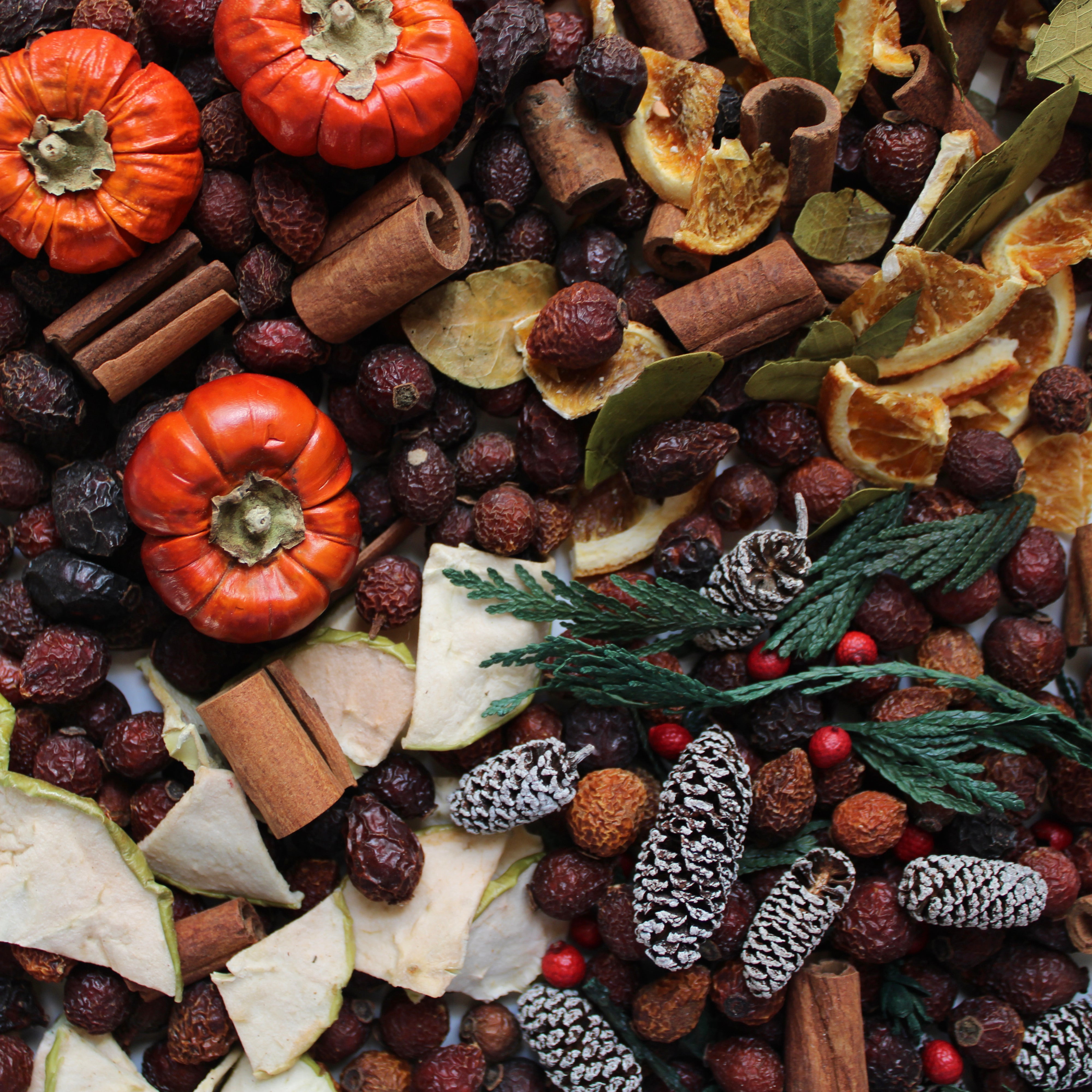 Dried Flower & Pod Potpourri