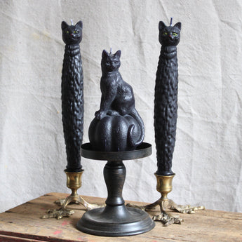 Cat Candle