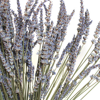 Dried French Lavender