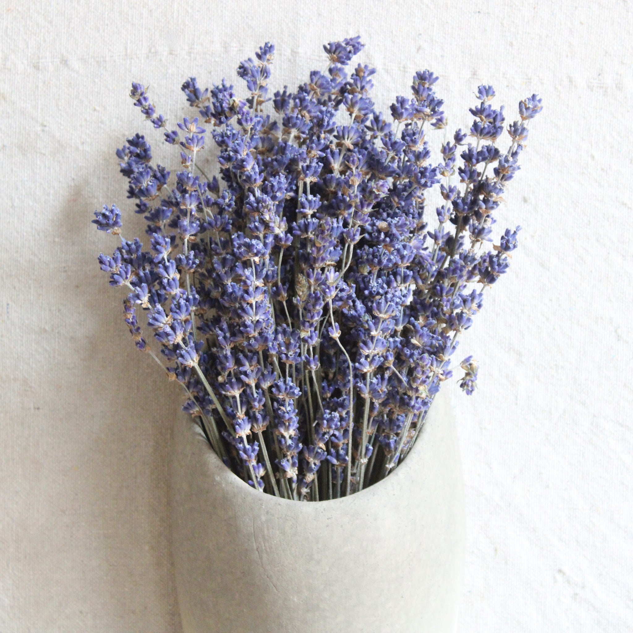 Fields of Lavender Bouquet