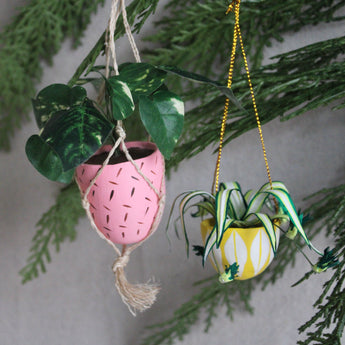 Ornament - Hanging Plant