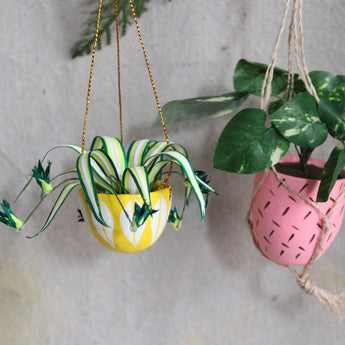 Ornament - Hanging Plant