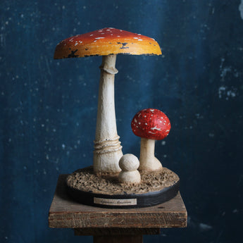 Fly Agaric Mushroom