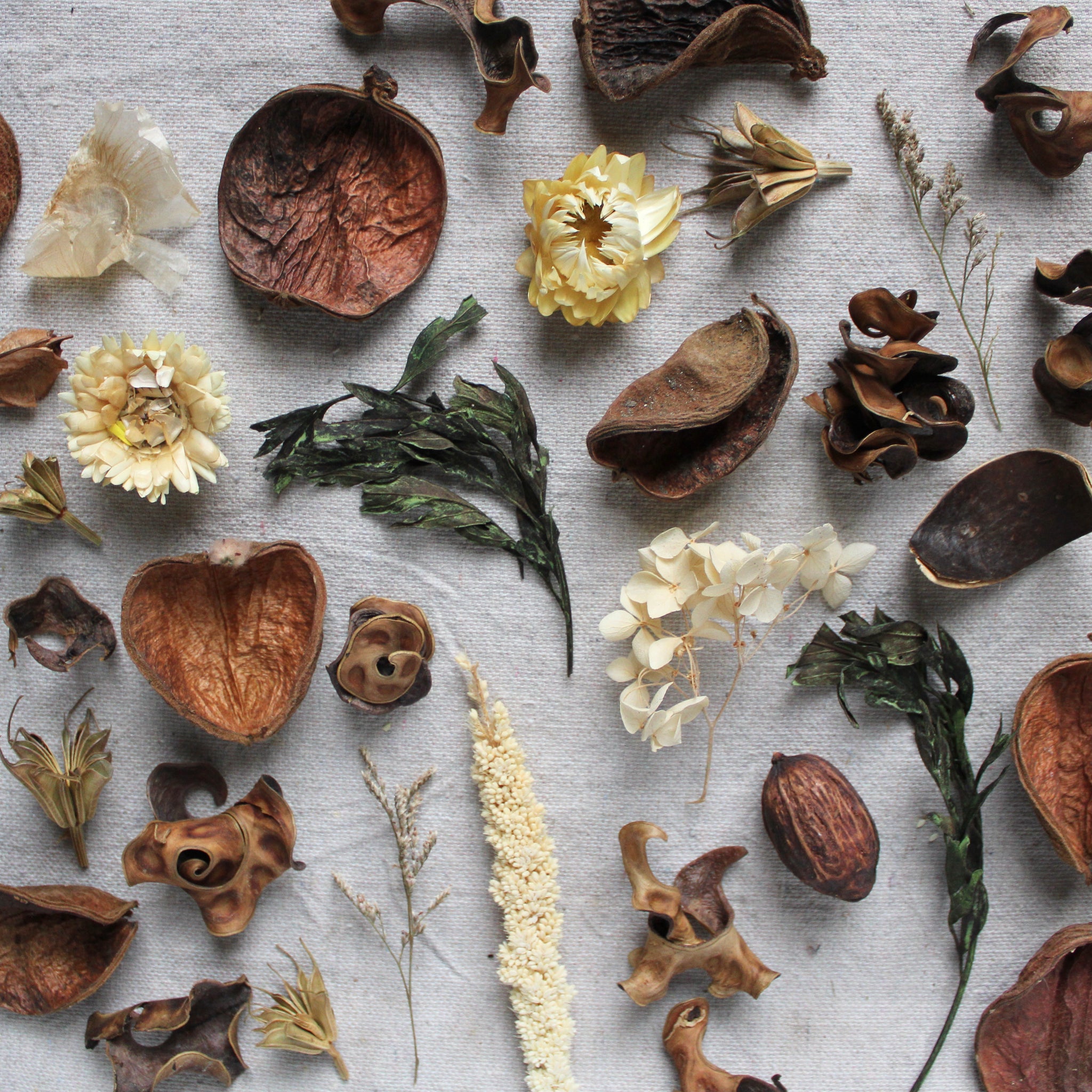 How To Dry Flowers + Make Naturally Scented Potpourri