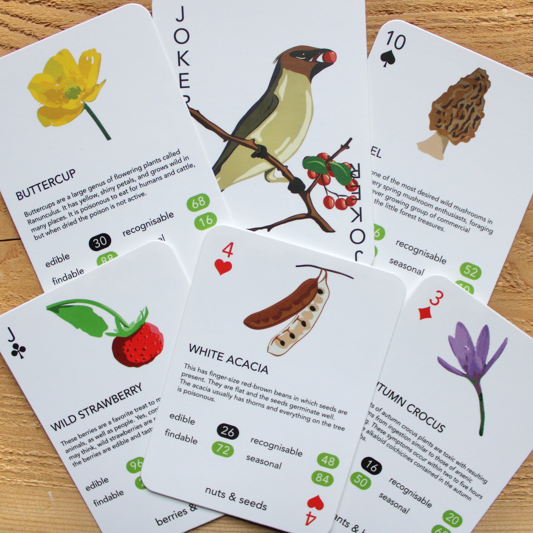 Foragers Playing Cards Game | Roxanne's Dried Flowers